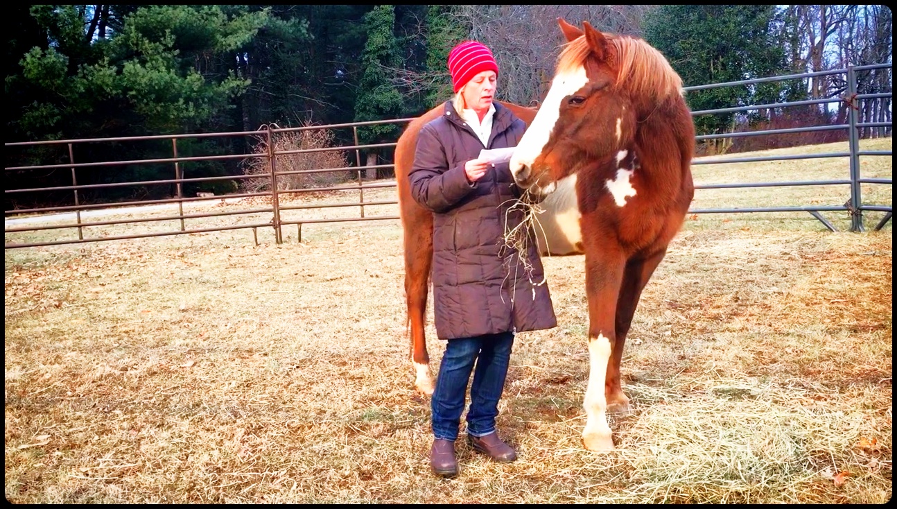 TajListeningToQuestion_F