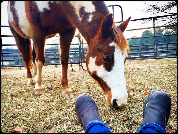 TajRoundPen_MyFeet_F