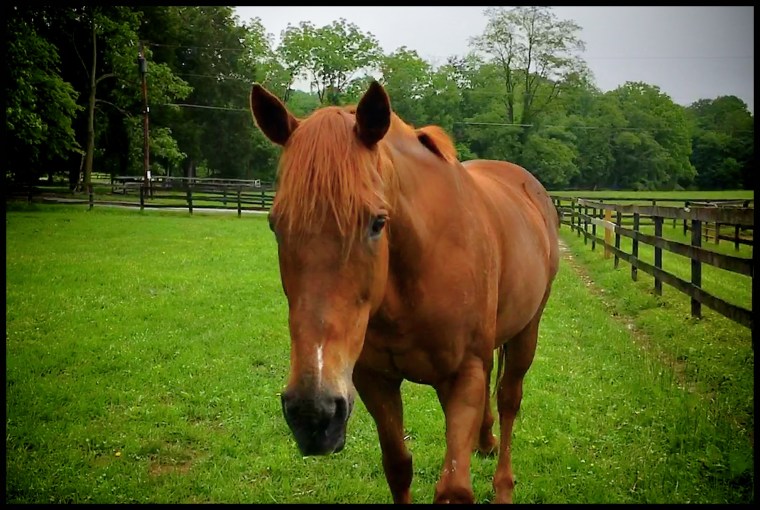 BobbiHeadsTowardMe_F