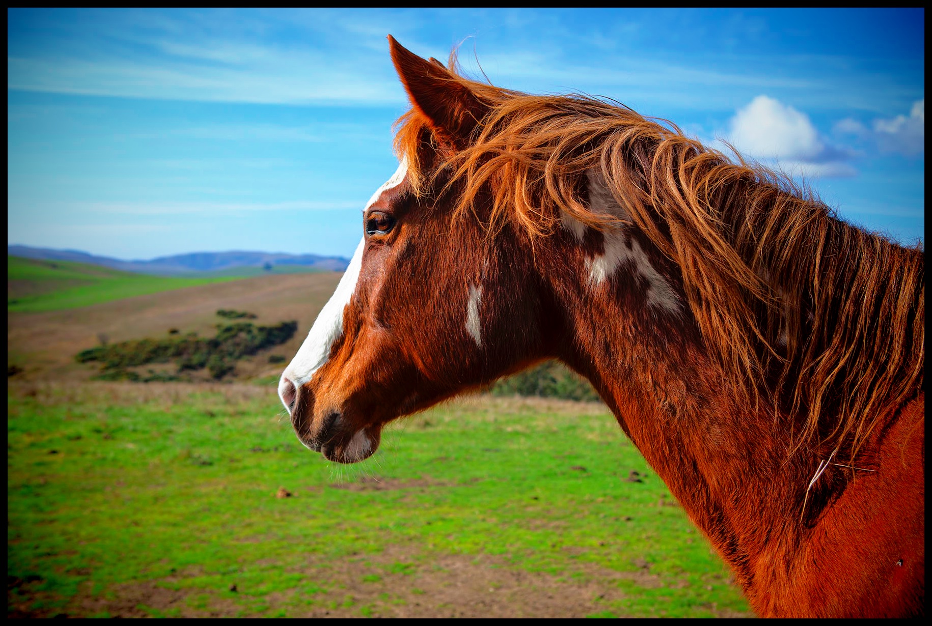 Taj_Nov2011_Profile_6x4_F