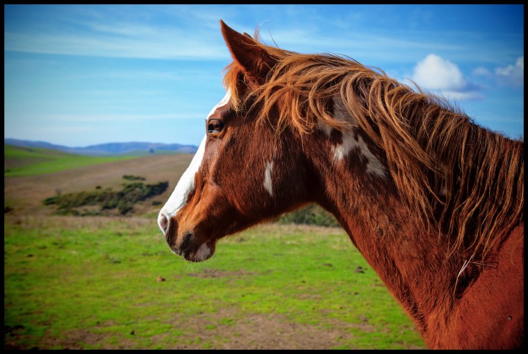 Taj_Nov2011_Profile_6x4_F