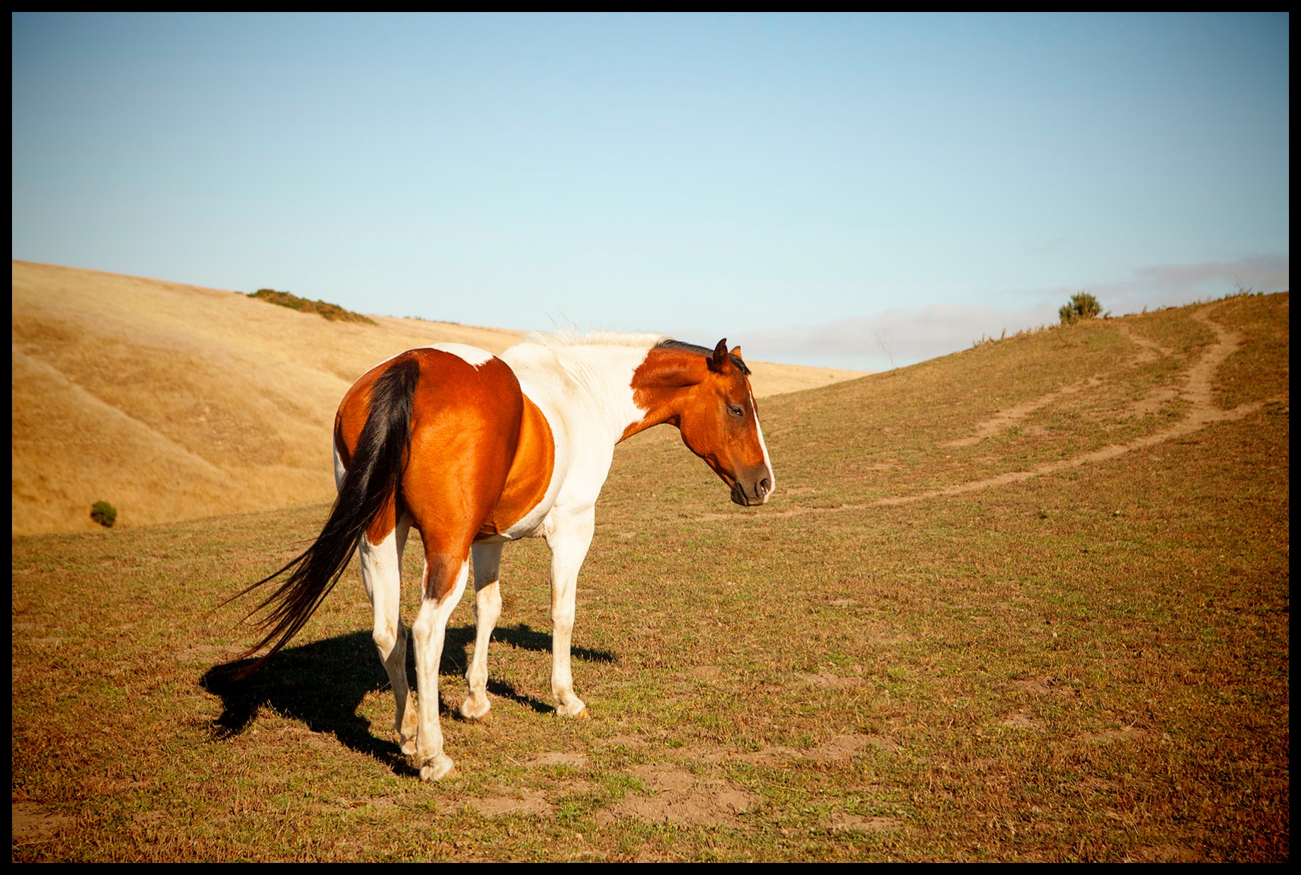 LottieLooks Back_8802_6x4