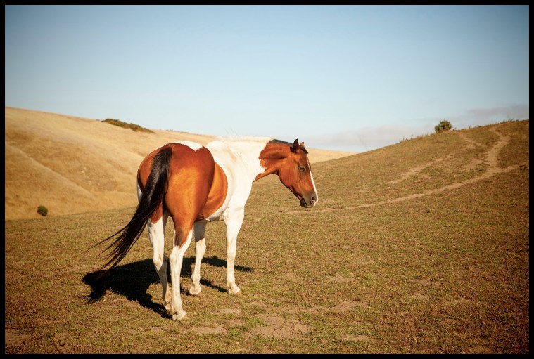 LottieLooks Back_8802_6x4